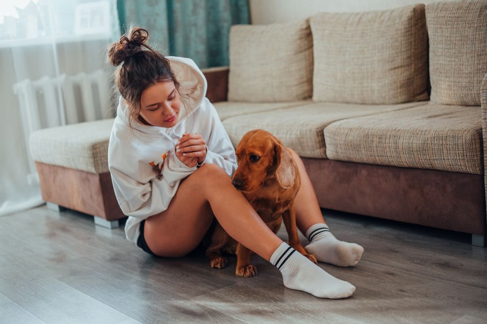 Persona seduta in casa accanto al proprio cane