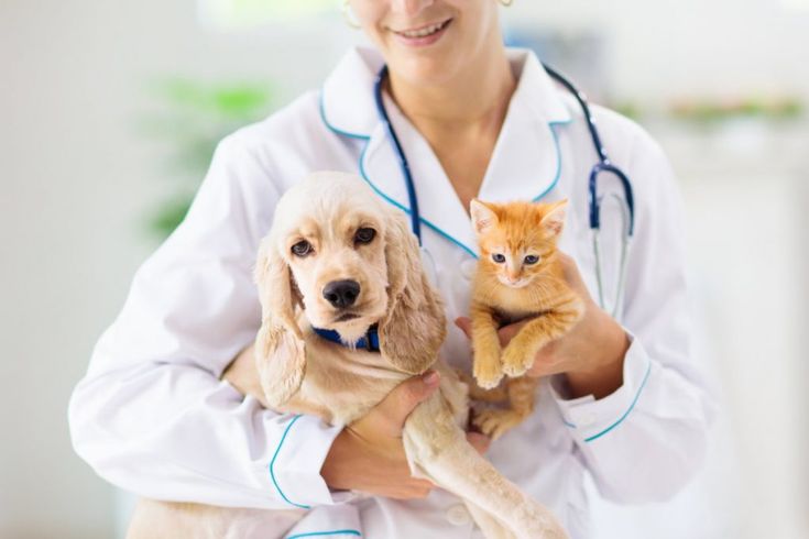 Una veterinaria con un cane e un gatto